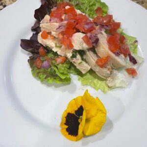 10-day plan 1500 cal